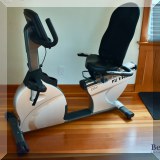 X01. True E5900 recumbent exercise bike. 